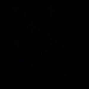 Meet your Posher, Isabel